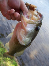 Cackalacky® Booze Bait® "Cork & Cap" Fishing Lure