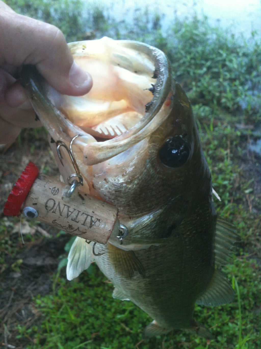 fish lure coming out of a bottle of alcohol Cackalacky® Booze Bait® Fishing Lure