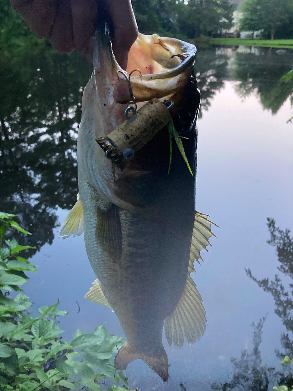 bark with fishing lures Cackalacky Booze Bait Fishing Lure Booze Bait + Dressed Chartreuse Feathers Trailing Hook