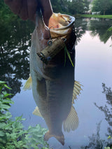 Cackalacky® Booze Bait® "Cork & Cap" Fishing Lure